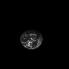 N20071115T023314929ID20F83