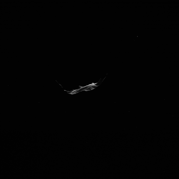 N20100710T155441210ID30F22.JPG