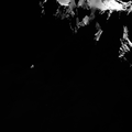 N20140922T185454369ID30F41.png