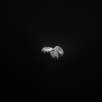 ROS_CAM1_20151103T075733
