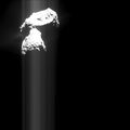 ROS_CAM1_20151117T000802