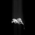 ROS_CAM1_20151125T071902