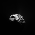 N20150627T063433918ID20F71