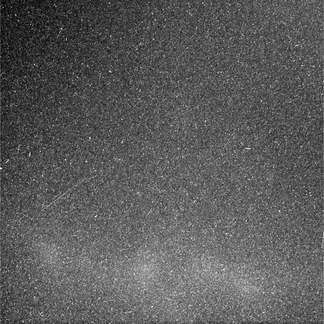 N20150701T065138945ID20F32