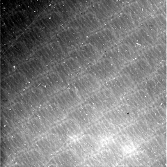 N20150709T082854410ID20F16