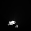N20150823T190121781ID20F22