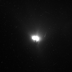 W20150627T071415753ID20F31