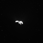 W20151124T000859037ID30F17.IMG