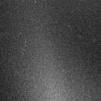N20160316T080051857ID30F22.IMG