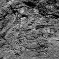 N20160730T133836446ID30F24.IMG