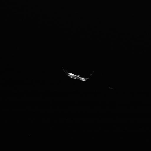 W20100710T155440168ID30F17.JPG