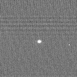 N20100501T040514699ID20F82