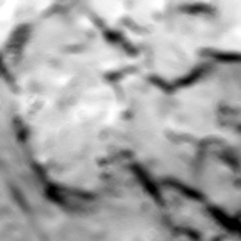 W20160927T234522479ID30F11.png